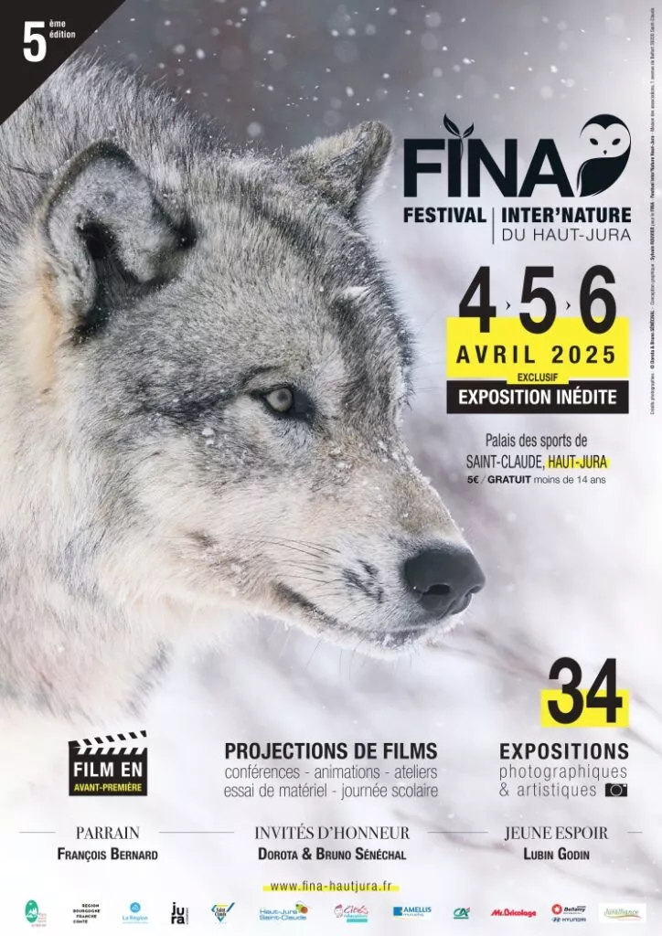 Affiche Festival FINA