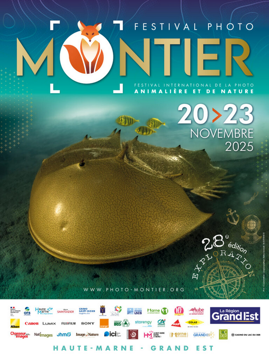 Affiche officielle 28ème Festival – Montier Photo Festival