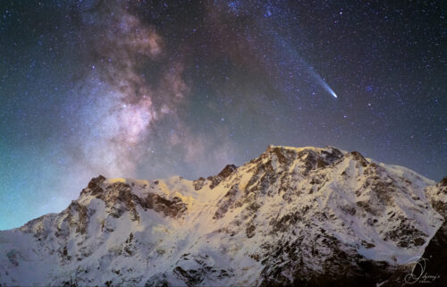 Rose - Petits et Moyens formats