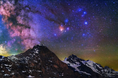 Art premium - La Reine et le Roi