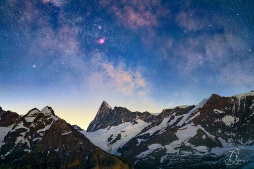 Art Premium - New beginnings