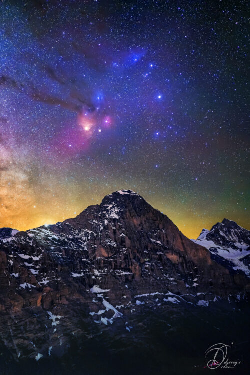 Art Premium - Le roi