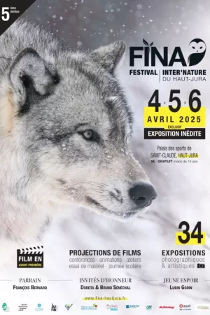Affiche Festival FINA